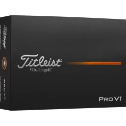 Balles neuves Titleist Pro V1 21-40
