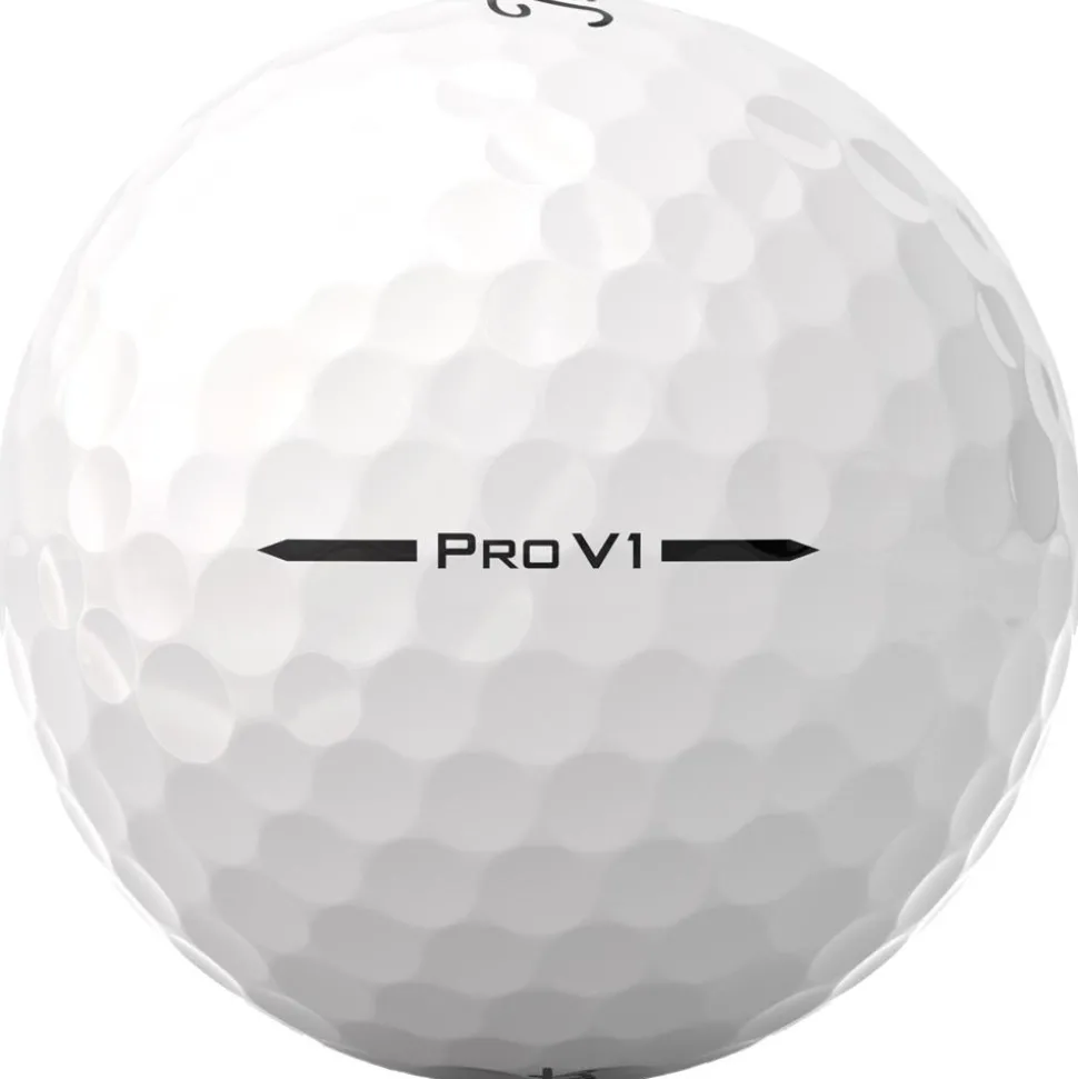 Balles neuves Titleist Pro V1 21-40
