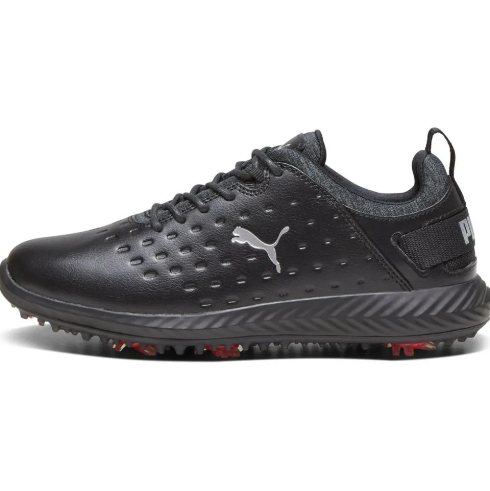 Chaussures avec crampons Puma Golf Ignite Blaze Pro Black