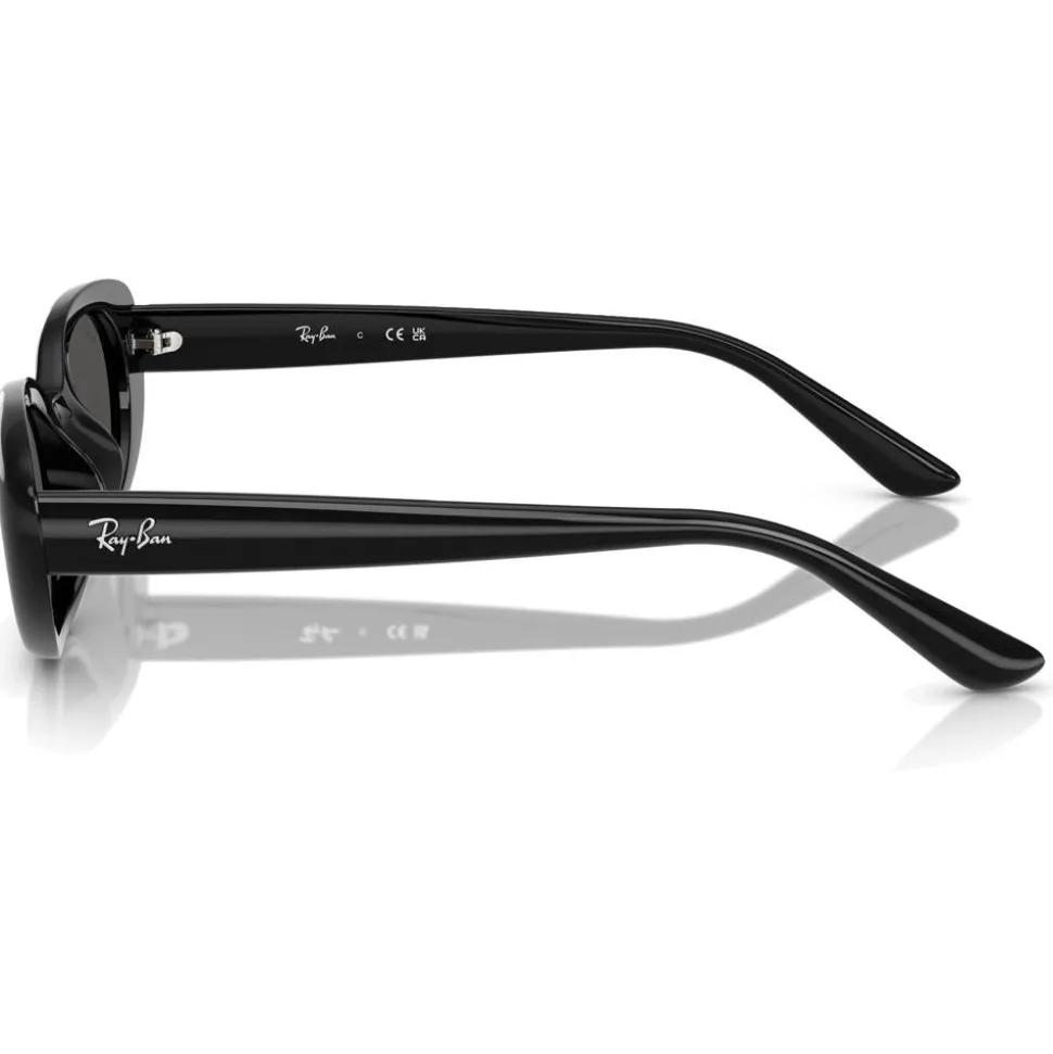 Lunettes de soleil Ray Ban RB4441D Polished Black Dark Grey